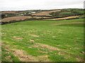 Farmland near Penhalt Farm