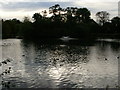 Tree silhouettes at Runtzmere Lake