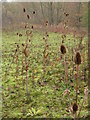 Ben Rhydding Gravel Pits