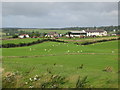 Pasture land north of Hadrian