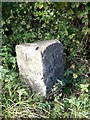 Milestone, Barford St Martin