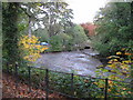 Roath Park Lake - drained!