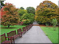 Roath Park in Autumn