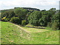 The north defensive ditch of Hadrian