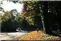 Autumn colour by the A361