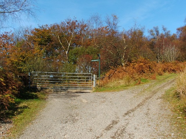 Start of track to Asker Farm