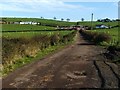 New farm buildings