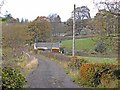 Autumn at Breconside