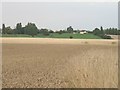 Earlsbury and Farnham Church to the left