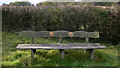 Memorial seat at Park Farm Trim Trail near Lurgashall