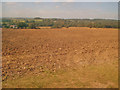 Arable land north of Moorgreen