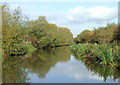 Trent and Mersey Canal at Horninglow, Staffordshire