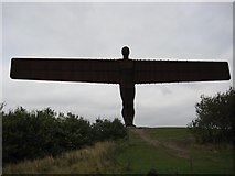 NZ2657 : Angel of the North by Des Costello