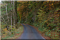 Minor road following the Afon Wen north