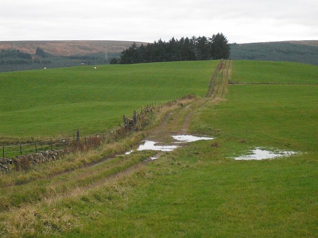 Grassland by Richard Manning