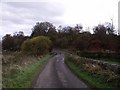 Blackbog Road at Mossywood