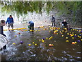 Tiverton : The River Lowman