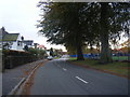 Greenhill Road looking towards Mather Avenue.