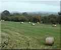 2009 : Field with straw bales off the A361