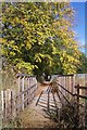 Footbridge near Northfleet Sewage Works