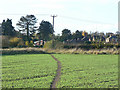 Footpath to Nuthall