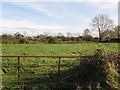 Gallanagh Townland