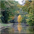 Trent and Mersey canal towards Colwich, Staffordshire