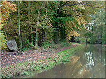 SK0220 : Trent and Mersey canal towards Colwich, Staffordshire by Roger  D Kidd