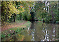 Trent and Mersey canal towards Colwich, Staffordshire