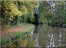 SK0220 : Trent and Mersey canal towards Colwich, Staffordshire by Roger  D Kidd