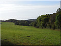 Grassland above Colesbourne