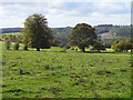 Pastures, Chedworth