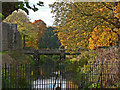 Autumn on a Cardiff backwater