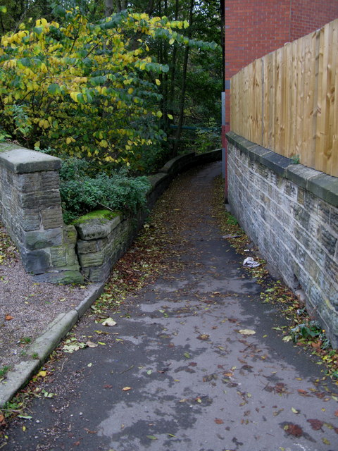 Frog Walk © David Rogers :: Geograph Britain and Ireland