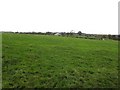 Cherryvale Townland