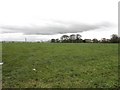 Cherryvale Townland