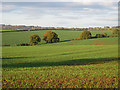 SO6424 : Arable fields on an autumn afternoon by Pauline E