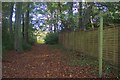 Bridleway in Perry Wood, near a fence