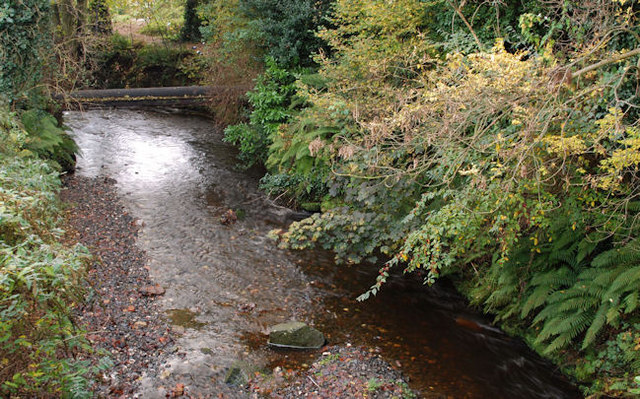 The Glen River, Dunmurry