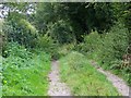 Bridleway, Three Ashes