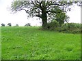 Footpath near Chantry