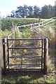 Footbridge near Horse Hill