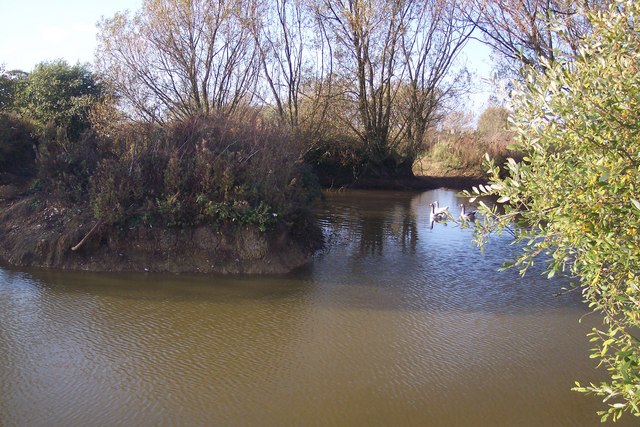 Ellenden Farm pond and three geese