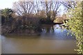 Ellenden Farm pond and three geese