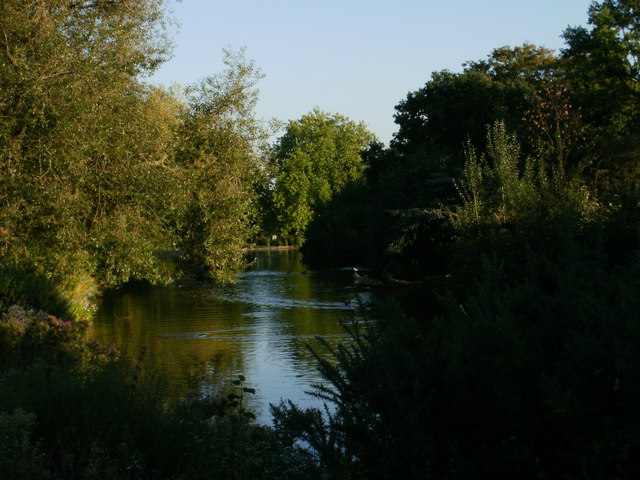 Lake in Finsbury Park (1)