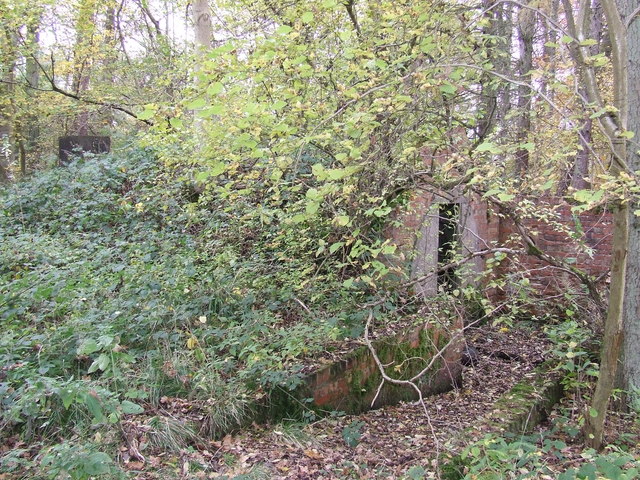 Air raid shelter Withington woods
