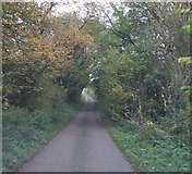 SP0114 : Road between Staple Cottage and Lions Lodge Cottage by norman hyett