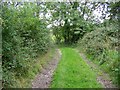 Footpath near Barrow Street