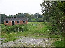 ST8431 : Derelict building near Common Wood by Maigheach-gheal