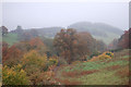 Autumn scene near Cwm Lane